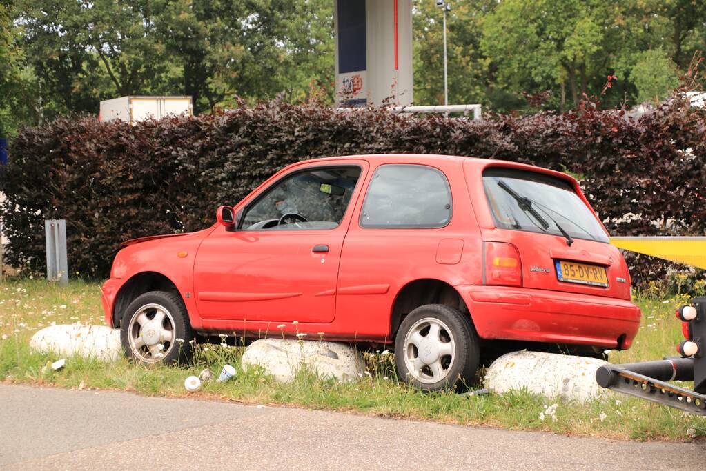 Auto belandt op varkensruggen