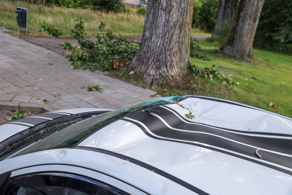 Afgebroken tak zorgt voor flinke schade