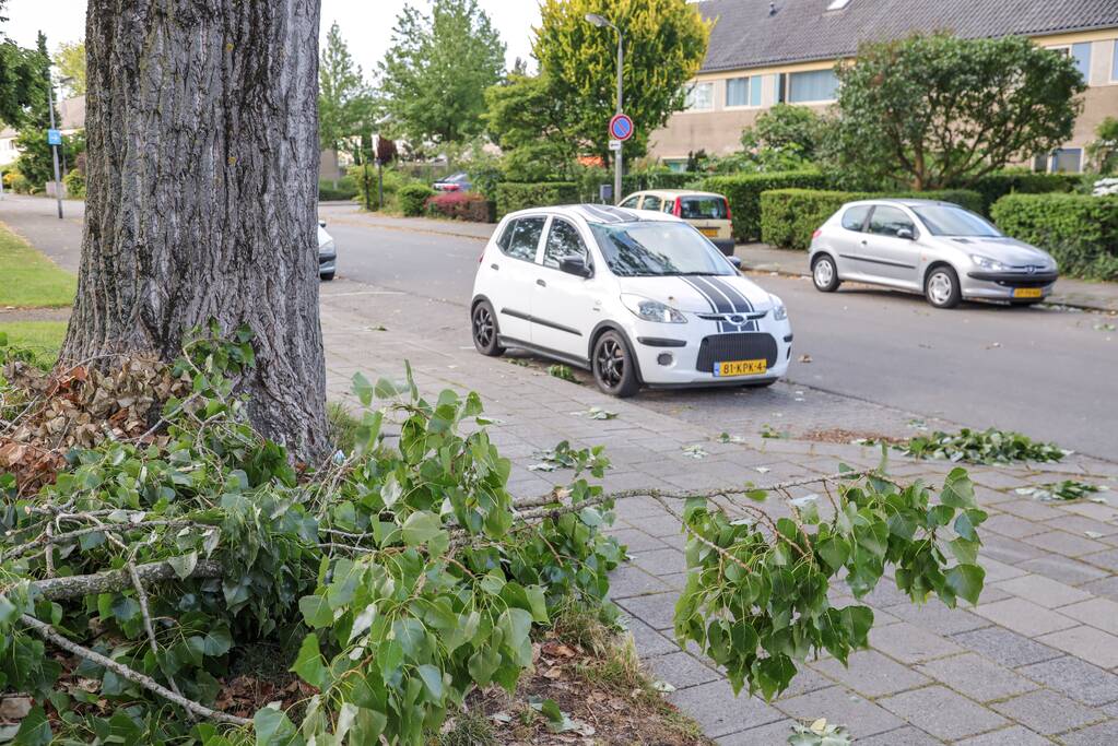 Afgebroken tak zorgt voor flinke schade