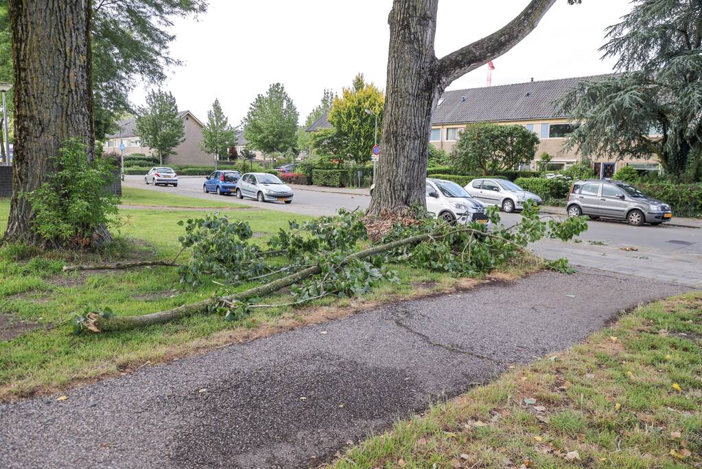 Afgebroken tak zorgt voor flinke schade