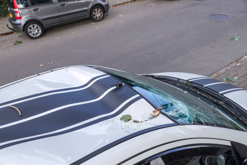 Afgebroken tak zorgt voor flinke schade