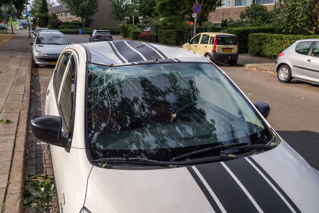 Afgebroken tak zorgt voor flinke schade