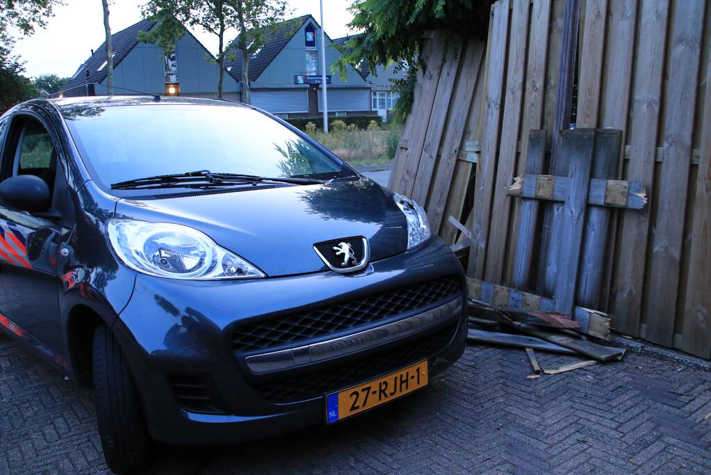 Drankrijder richt ravage aan