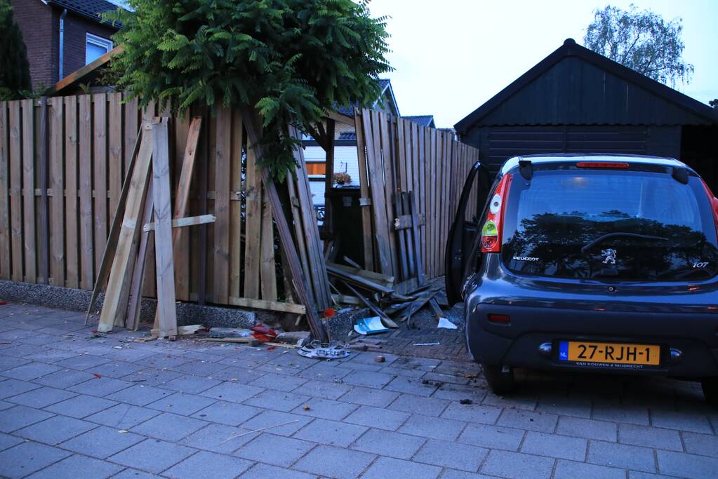 Drankrijder richt ravage aan