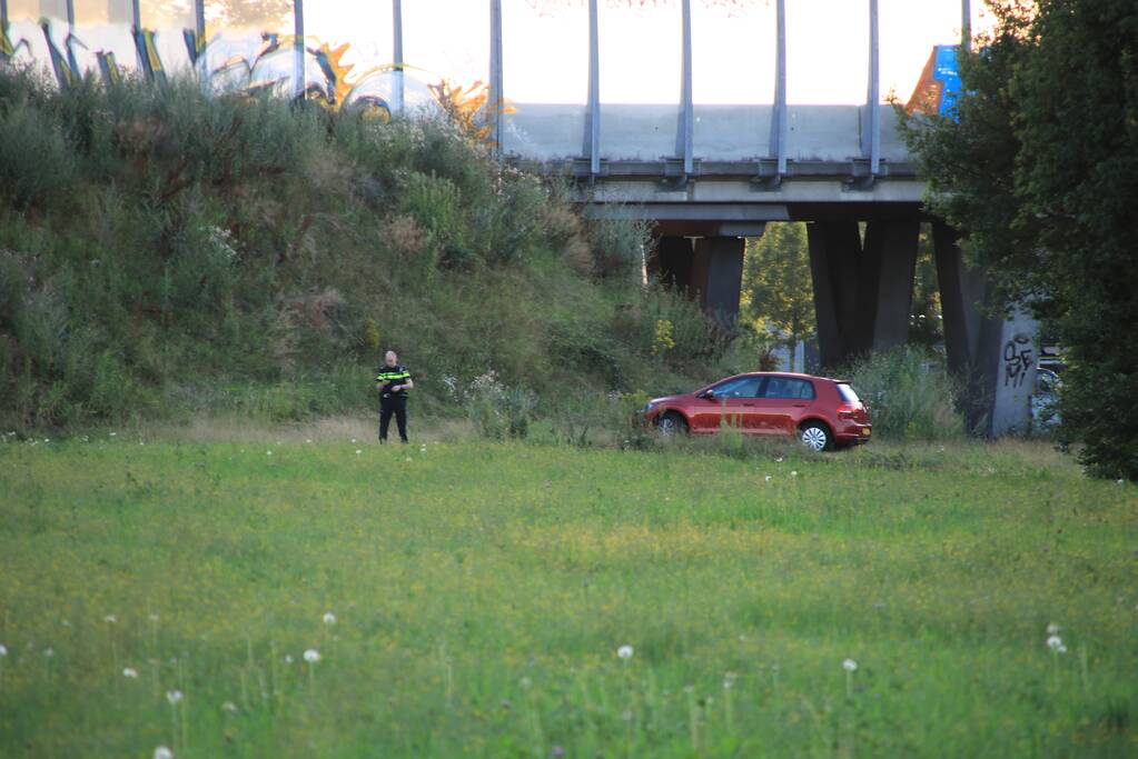 Losgebroken koe langs oprit naar Amersfoort