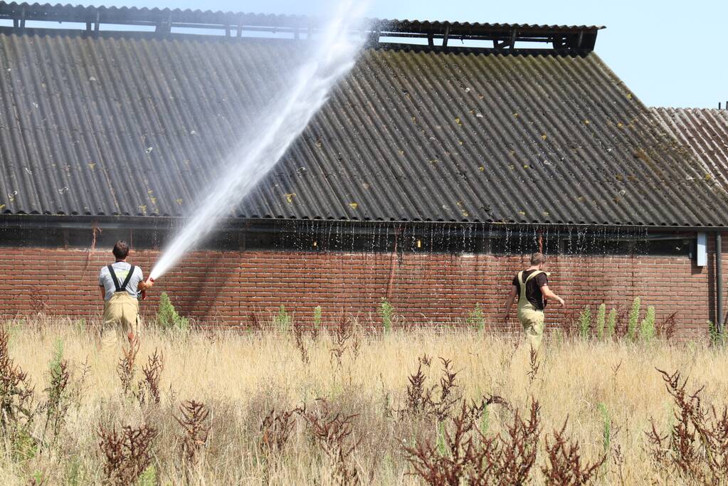 Mestkuikenstal wordt te warm, brandweer koelt dak