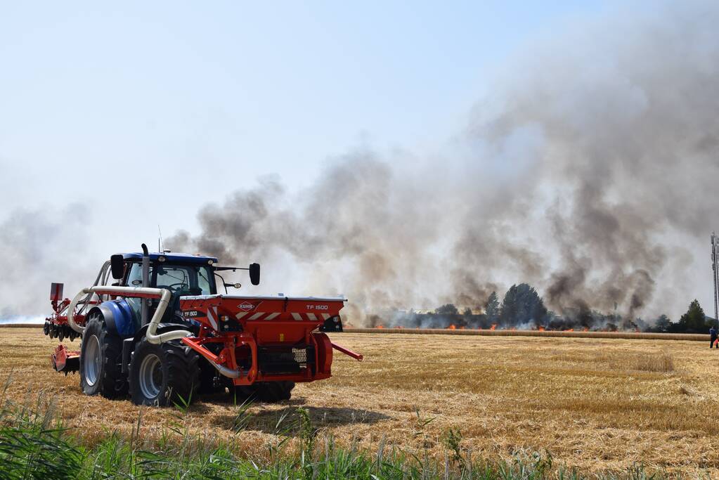 Flinke rookpluim door brand in tarweveld