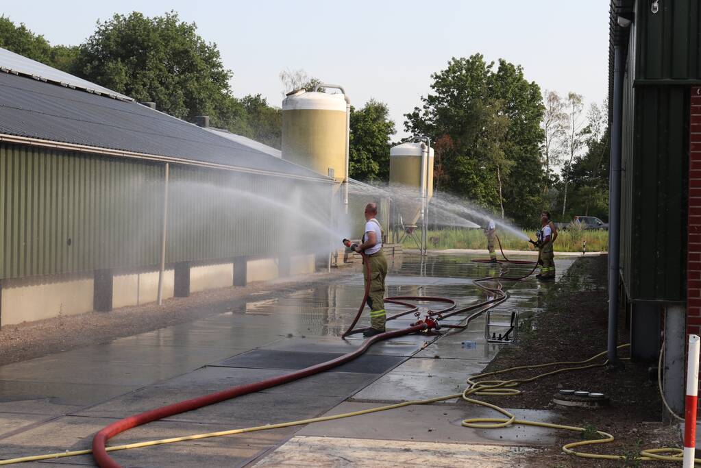 Vijf stallen te heet, brandweer koelt daken