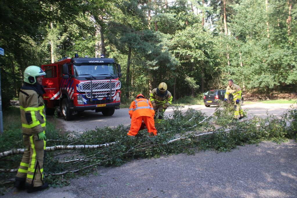 Deel boom blokkeert weg