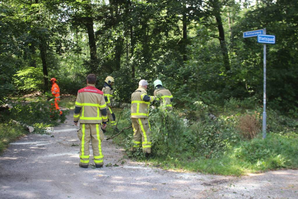 Deel boom blokkeert weg