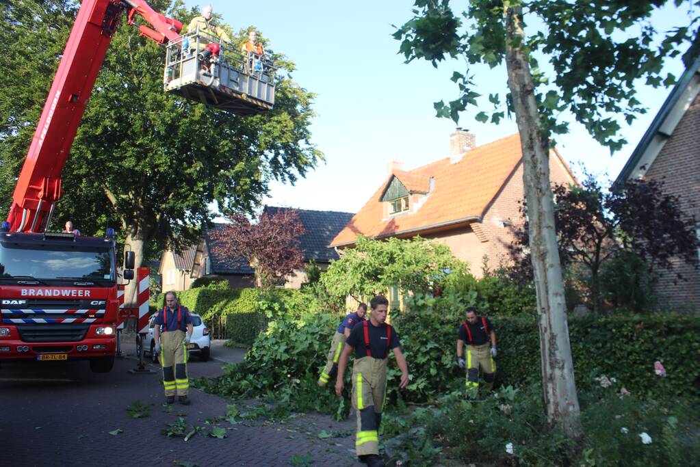 Boom deels verwijderd door stormschade