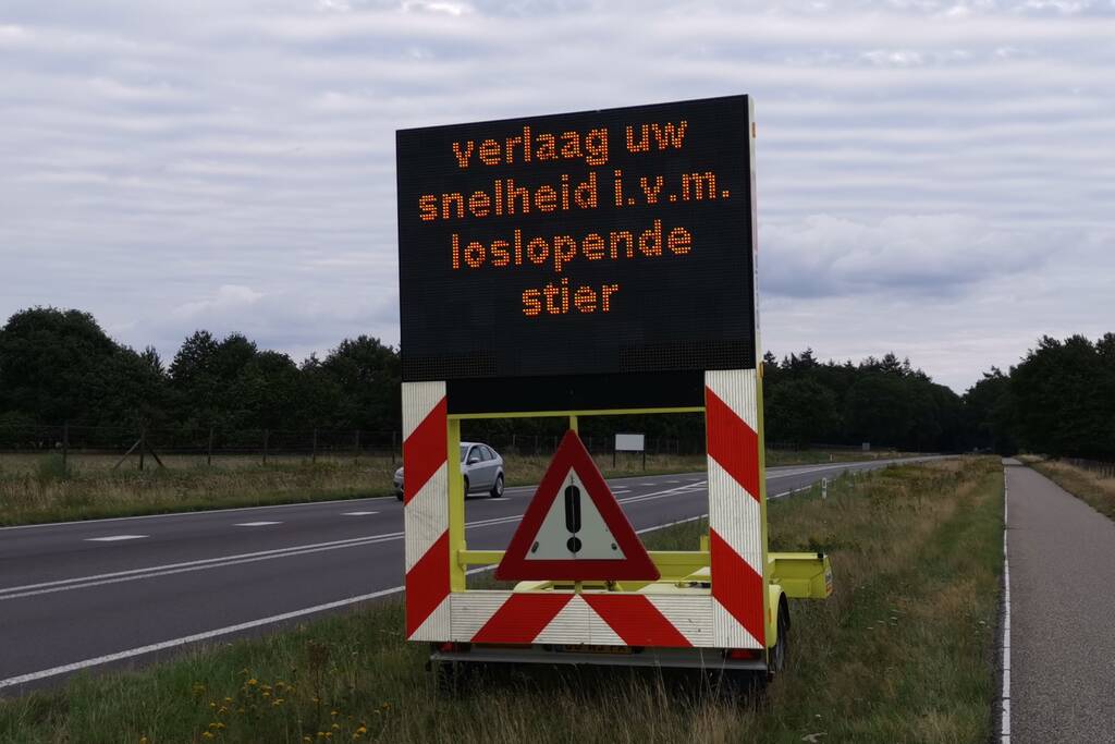 Weggebruikers worden gewaarschuwd voor loslopende stier