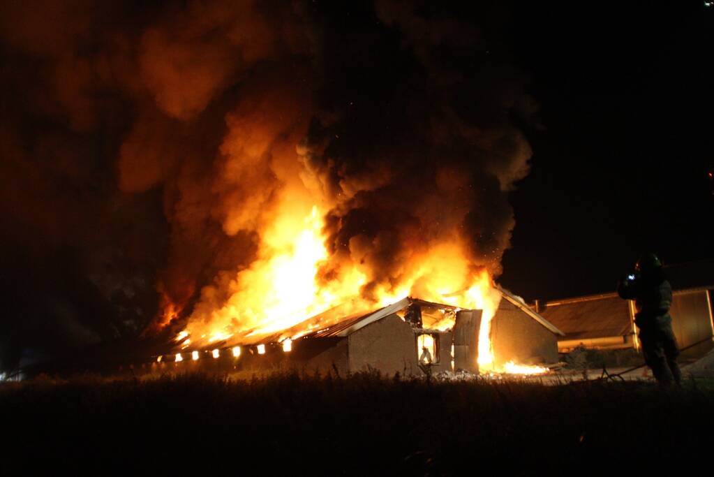 Grote uitslaande brand in kippenschuur, 16.000 kippen omgekomen