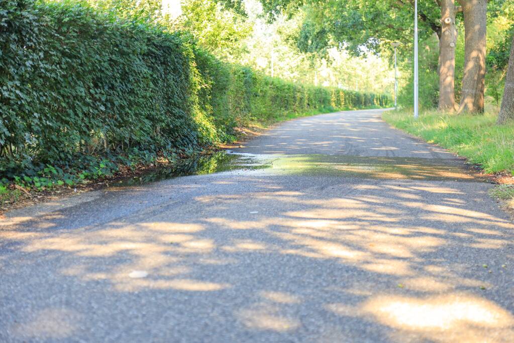 Leidingbreuk langs provinciale weg