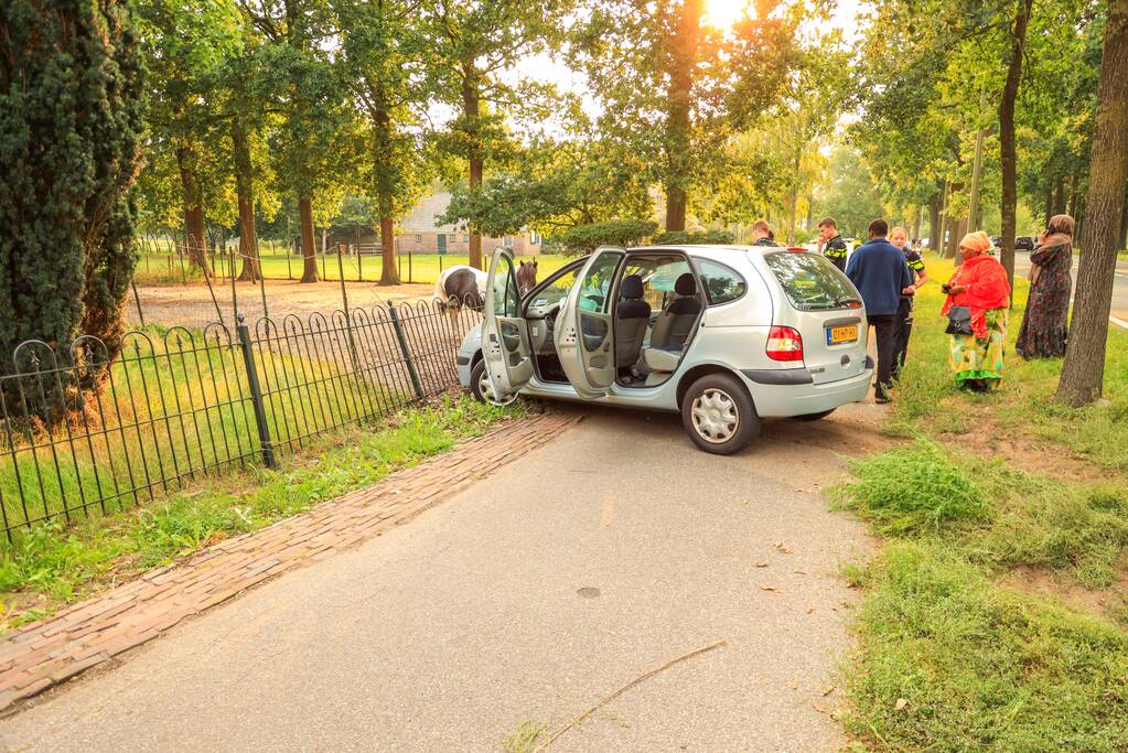 Auto rijdt tegen boom en klapt op hek