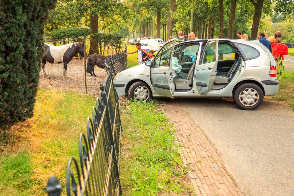 Auto rijdt tegen boom en klapt op hek