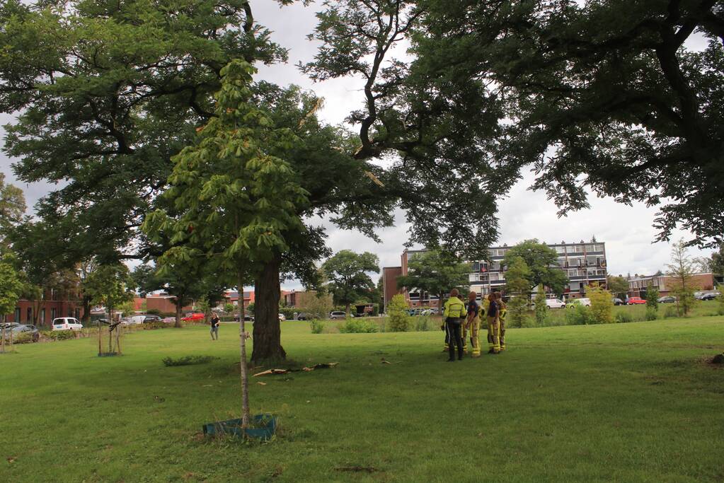 Brandweer uitgerukt voor loshangende takken