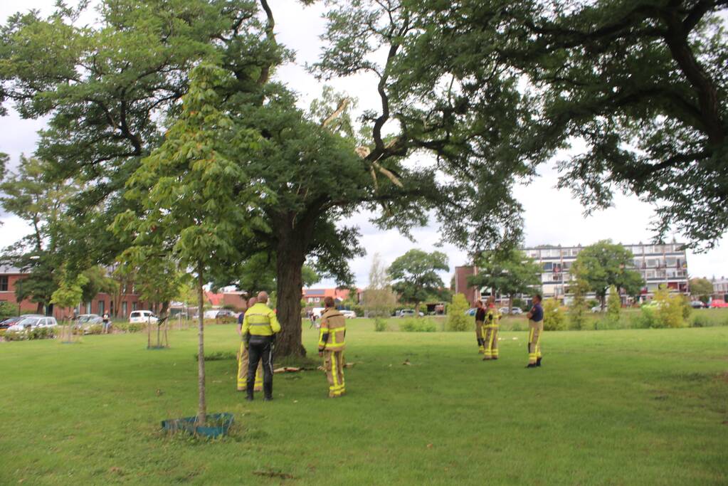 Brandweer uitgerukt voor loshangende takken