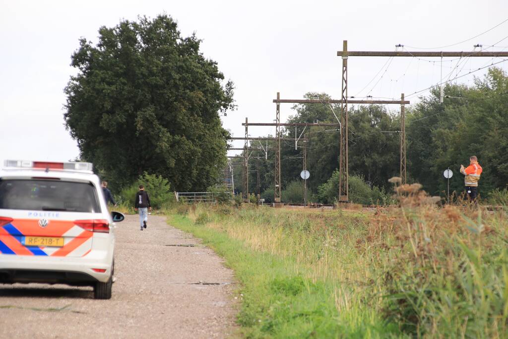 Grote kudde schapen langs het spoor