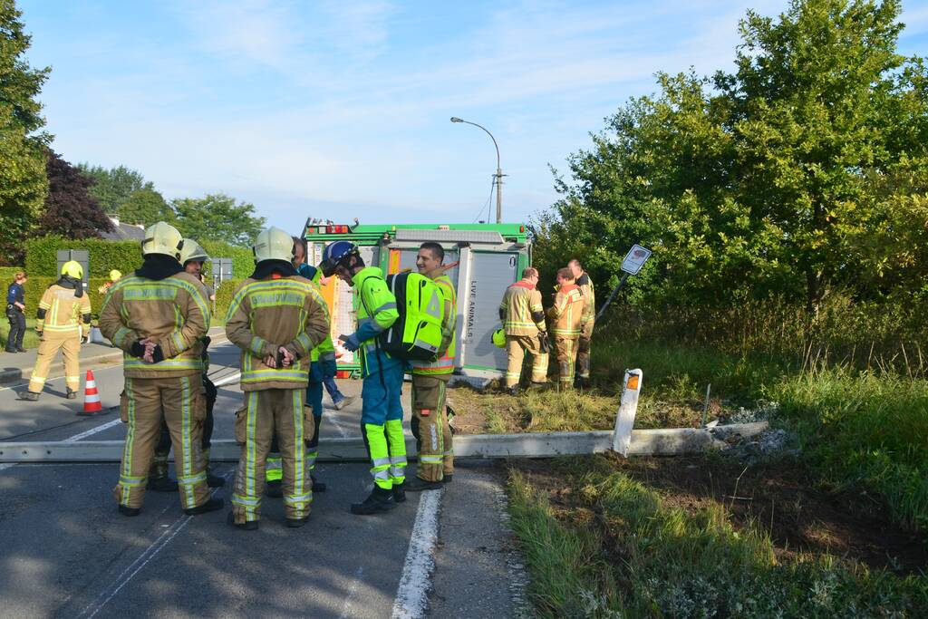 Vrachtwagen met biggen gekanteld