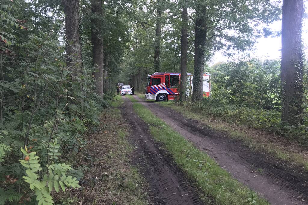 Loslopende varkens zorgen voor gevaarlijke situatie