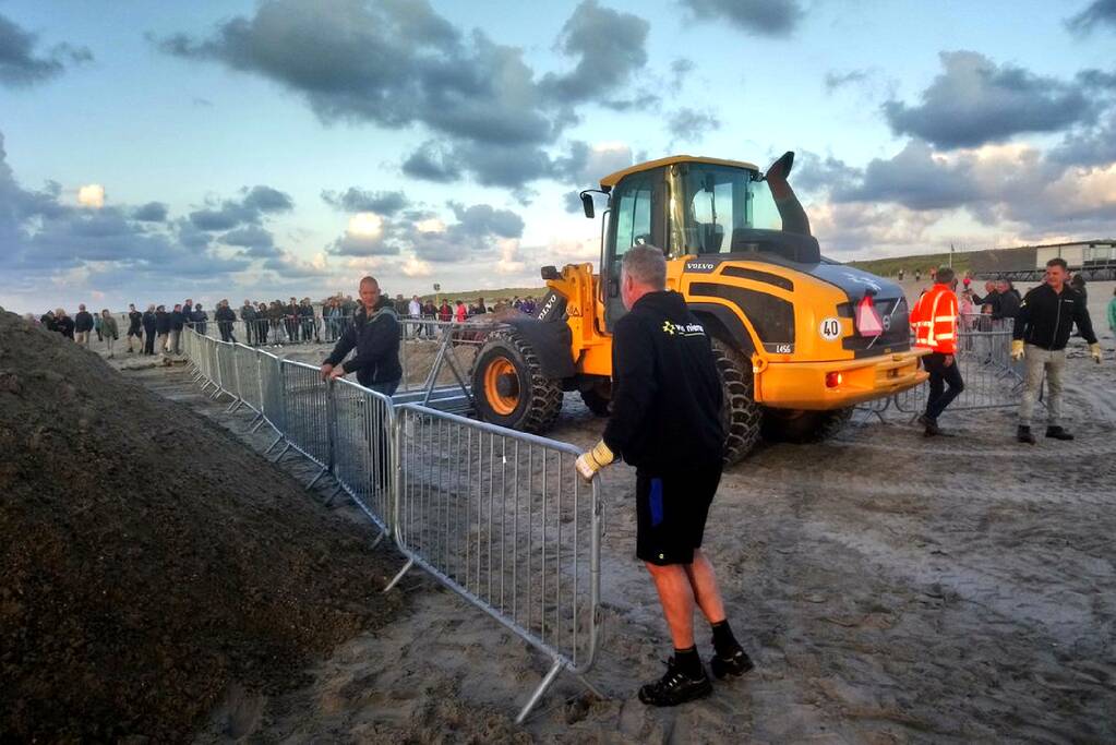 Dode vinvis aangespoeld op strand