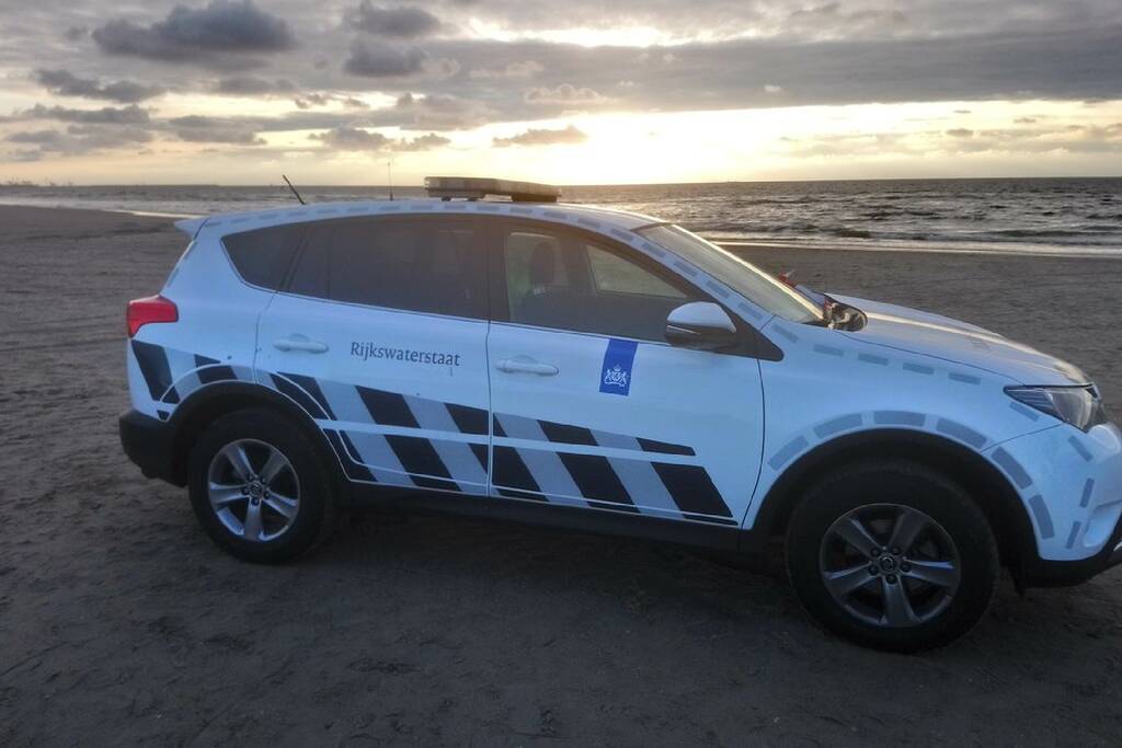 Dode vinvis aangespoeld op strand