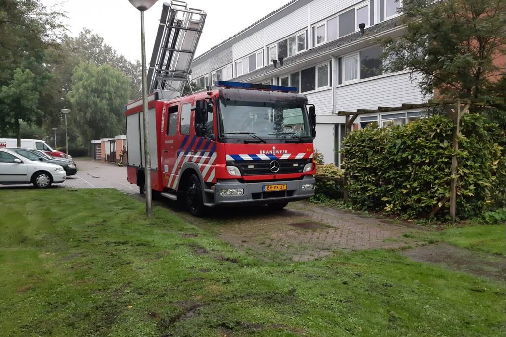 Vermiste kat uit boom bevrijd