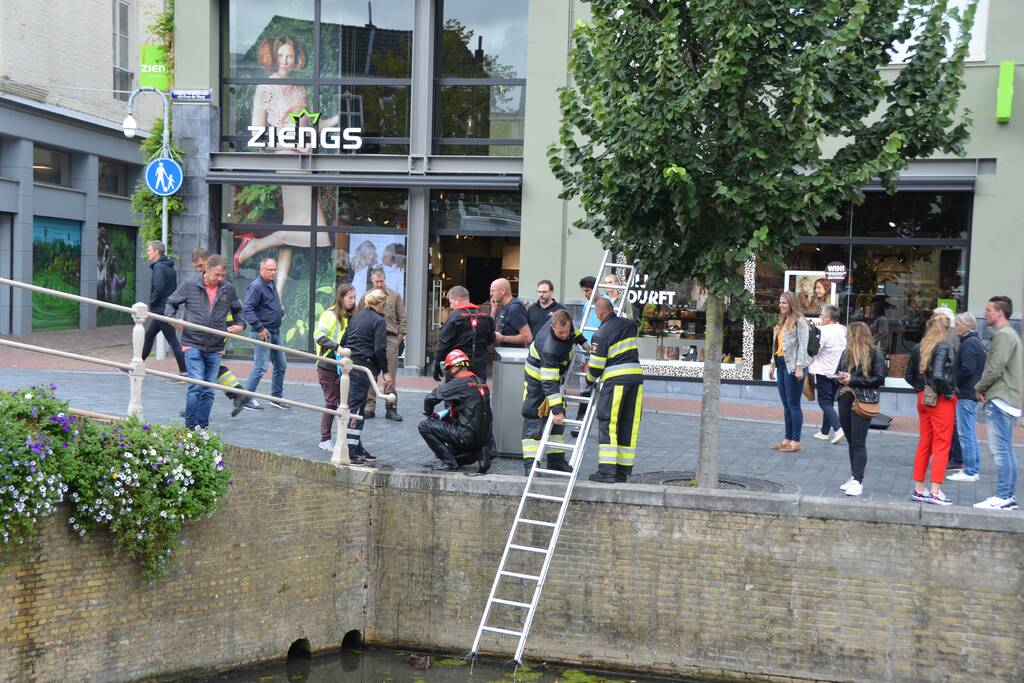 Kat uit afvoer naar gracht gered