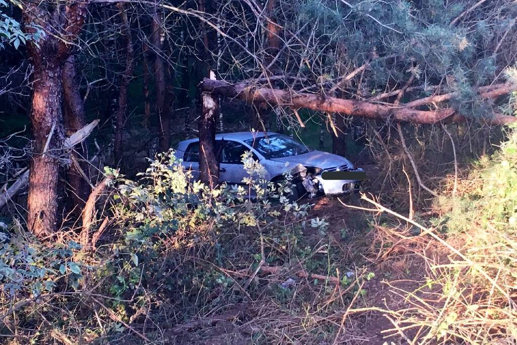 Auto vliegt van de weg belandt in bosschage