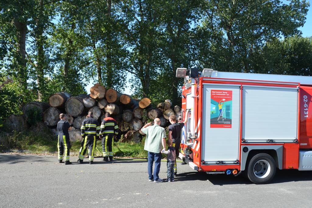 Berg met boomstammen in brand
