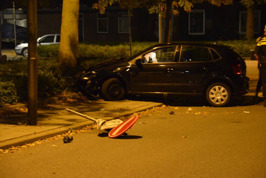 Flinke schade na aanrijding met boom