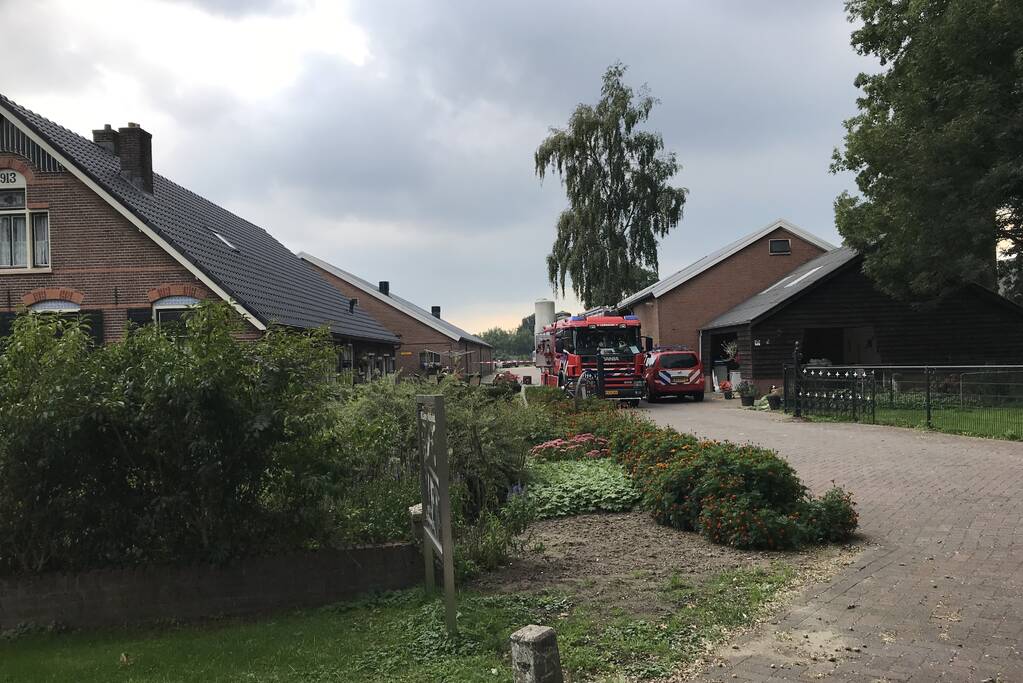 Wederom giftige gassen uit maiskuil