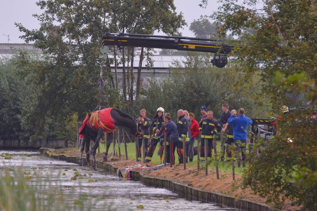 Brandweer takelt paard uit de sloot