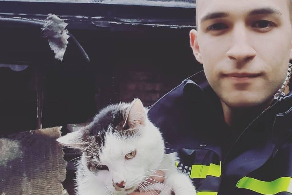 Kat uit woning vol rook bevrijd