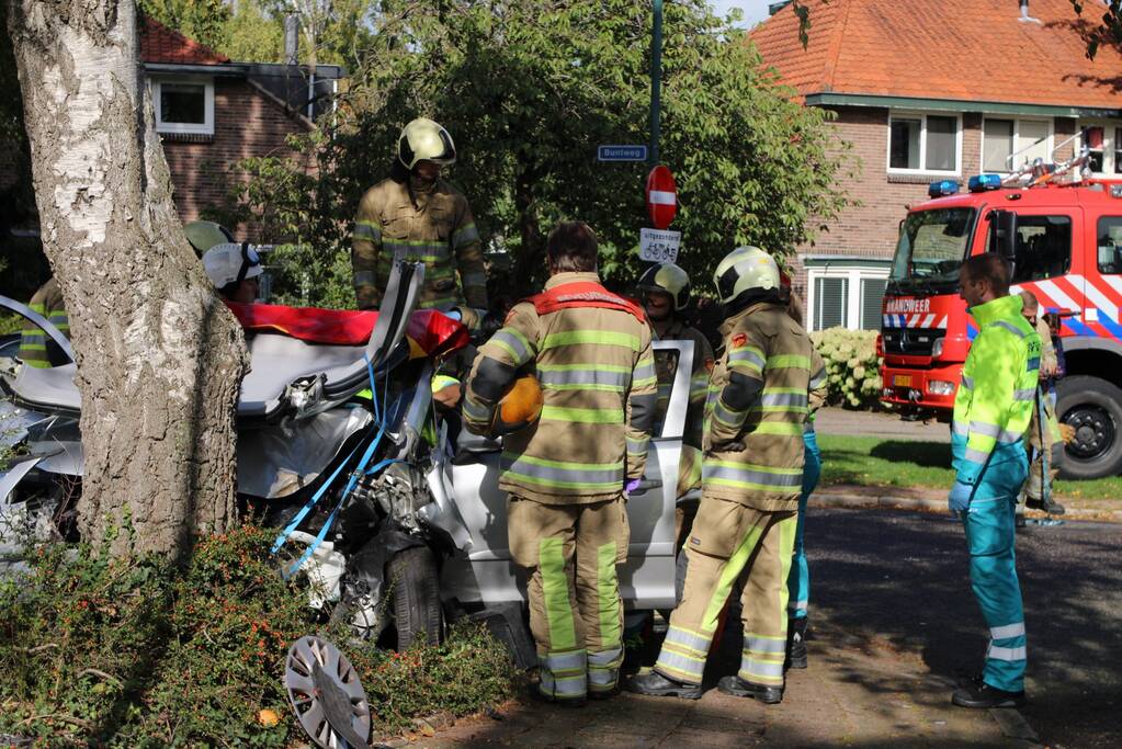 Automobiliste crasht tegen boom, brandweer knipt dak eraf