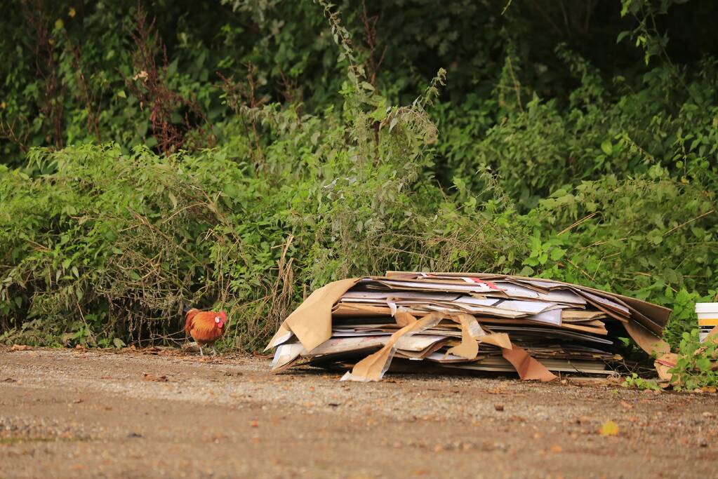 Trekkerbanden en sloopafval gedumpt op carpoolplaats