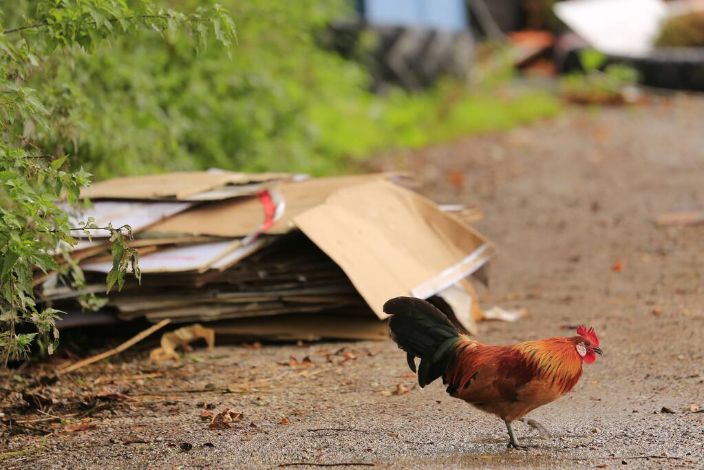 Trekkerbanden en sloopafval gedumpt op carpoolplaats