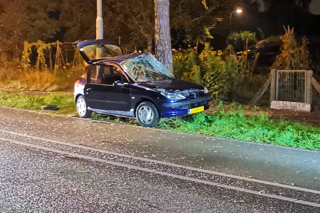 Gewonden na eenzijdig ongeval tegen boom