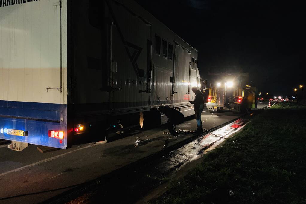 Vrachtwagen met 12 paarden dreigde om te vallen na klapband