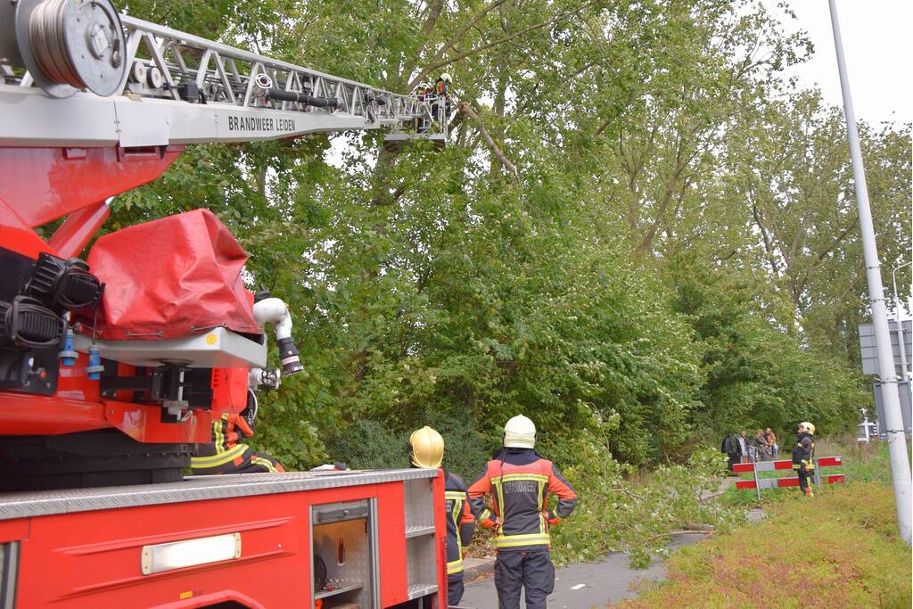Grote loshangende tak zorgt voor gevaarlijke situatie