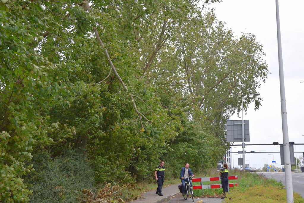 Grote loshangende tak zorgt voor gevaarlijke situatie