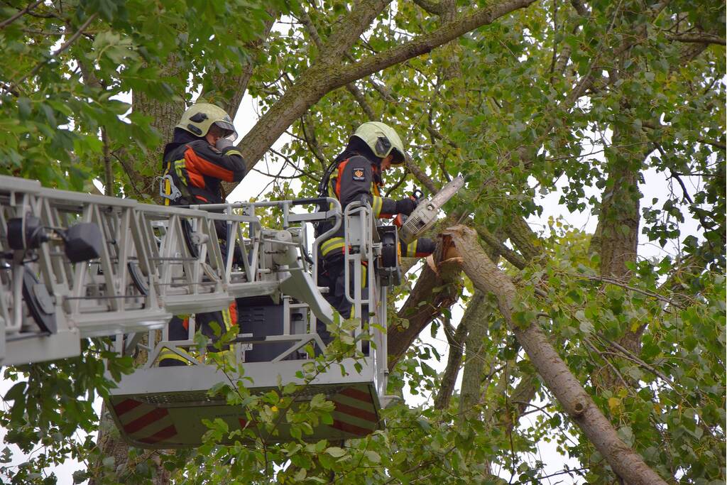 Grote loshangende tak zorgt voor gevaarlijke situatie