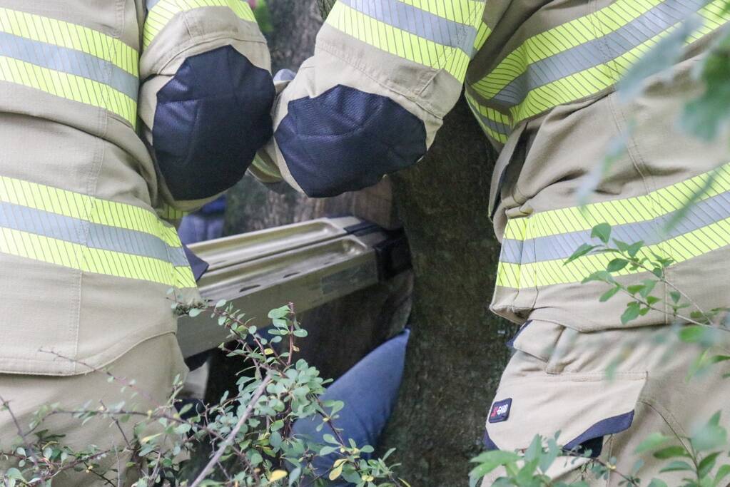 Jongen vast met been in boom