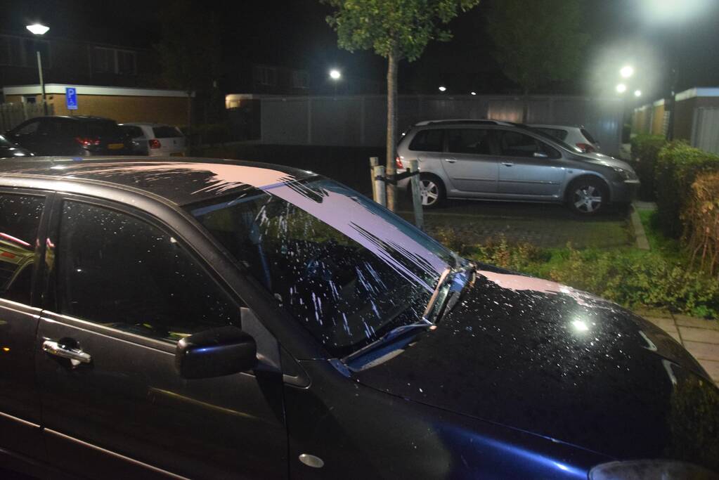 Auto met vloeistof besmeurd, schutting in brand gestoken