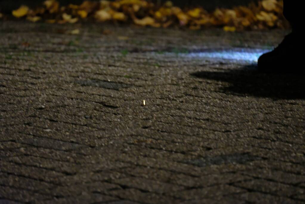 Gewonden mannen schietpartij aangehouden