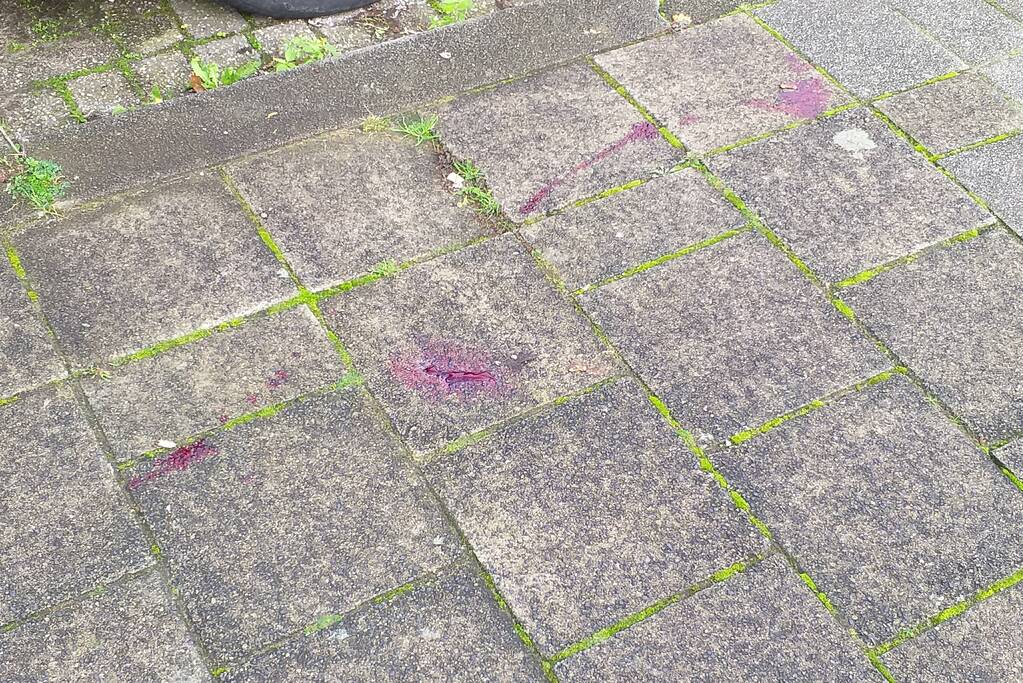 Man zwaargewond bij steekpartij na woningoverval in Hoogvliet