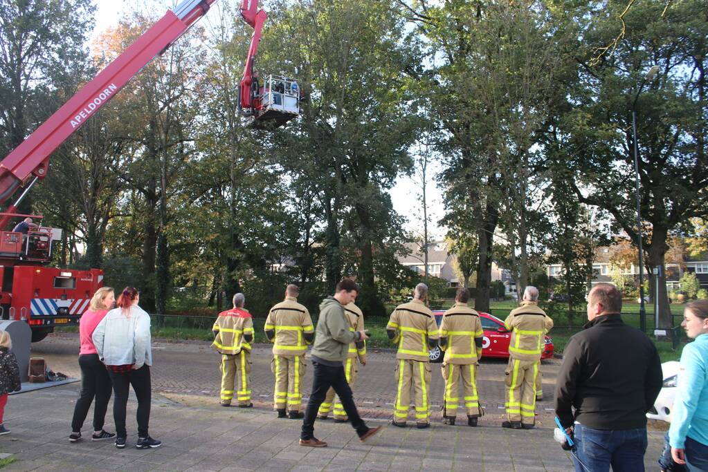 Brandweer redt papegaai met hoogwerker