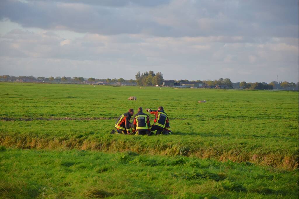 Hulpdiensten redden persoon uit water