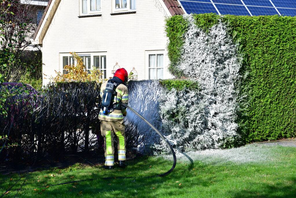 Heg vliegt in brand door onkruidbrander in de Landerijen